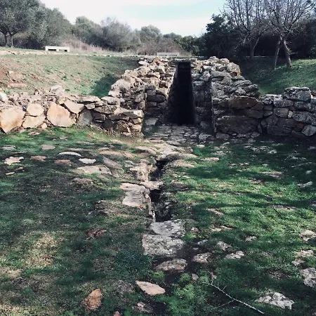 Apartment Il Mare Di