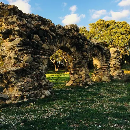 Il Mare Di Apartment *